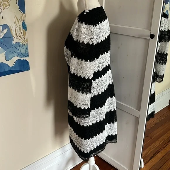 Jill Jill Stuart Classic Black and White Lace Striped Shift Dress 3/4 Sleeves 14 - Picture 7 of 12
